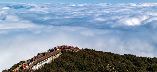 重庆金佛山旅游全攻略,暑假重庆南川金佛山旅游攻略