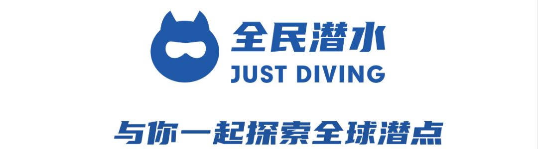 海陆空震撼炫酷视频,海陆空的全线飙战看得直呼过瘾