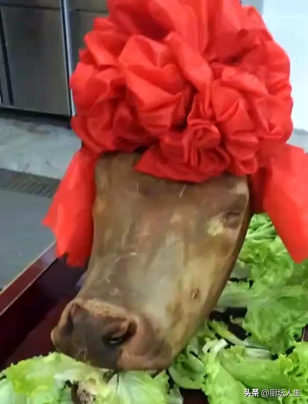 牛各部位肉的位置和适合做的菜,牛身上各个部位的肉适应做菜图解