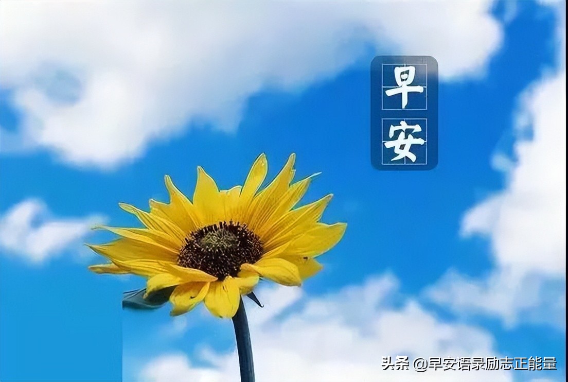 励志早安心语配图微商,励志微商正能量早安语录图片大全