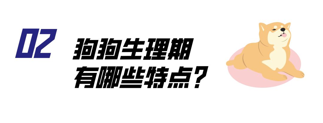 母狗也会来月经吗,狗也会来大姨妈吗