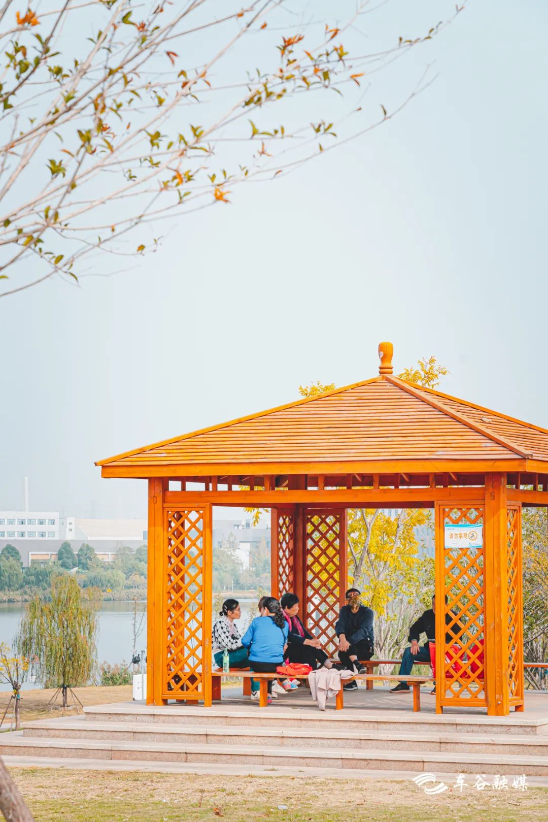 秋日暖阳骑行绿道,骑车绕城绿道值得打卡的推荐