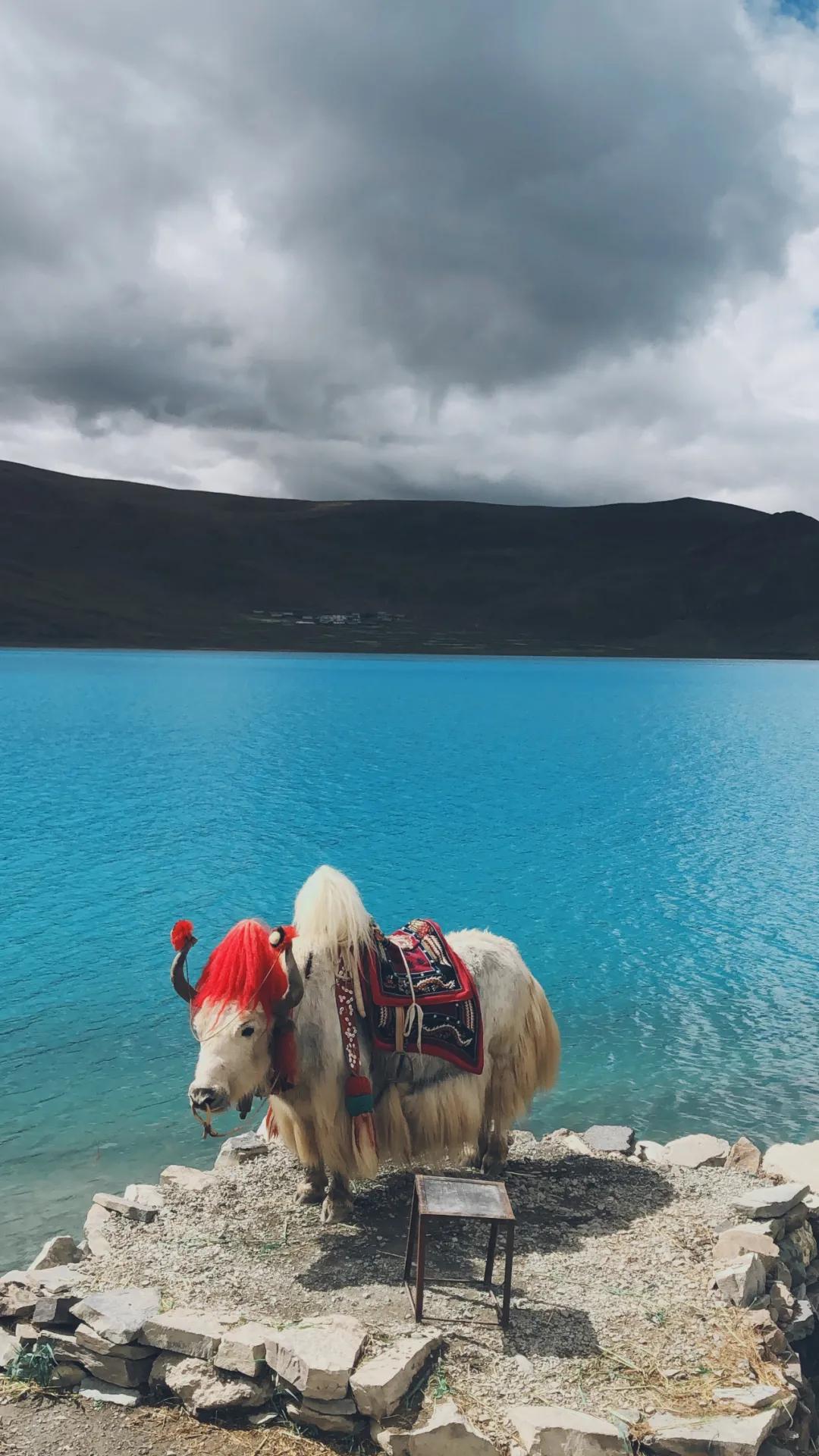日喀则最美的风景图片,西藏日喀则绝美图片