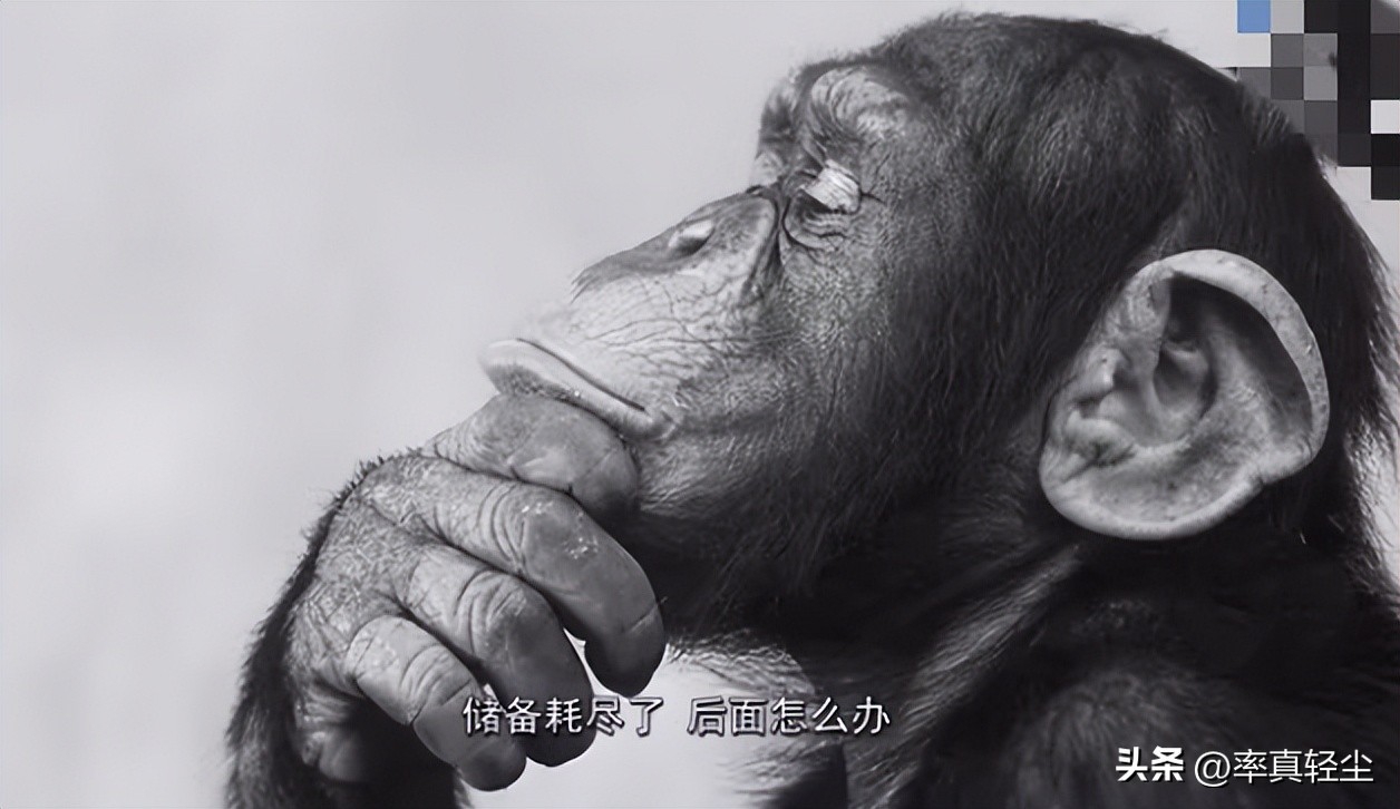 怎样才能彻彻底底忘记一些不好的事？自救必备技能说“强制关机”