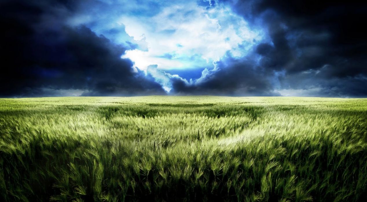 如何批量保存网页图片,网页图片无法另存为怎么办