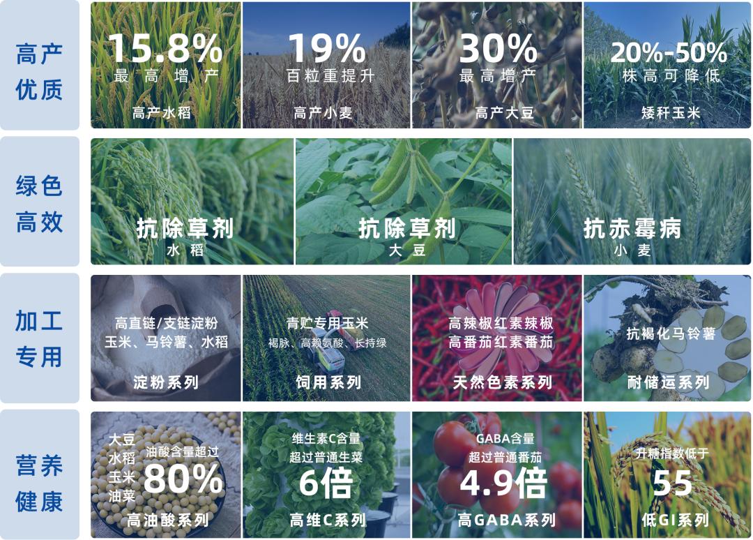 舜丰科普|水稻：源于中国的口粮大户