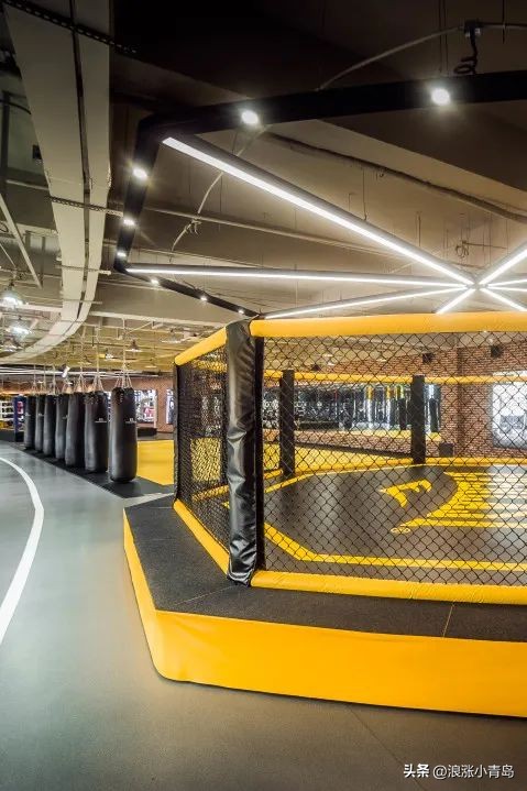 比肩卡塔尔！青岛这座“足球之城”，动起来了