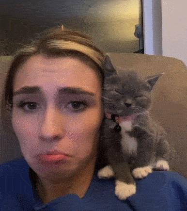 猫做核酸了么,猫核酸检测有必要做吗