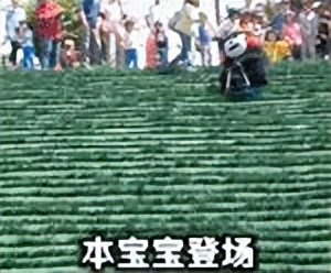 高考志愿填报车子,高考志愿选汽车行业