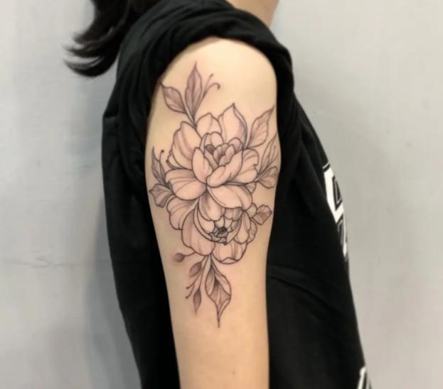 2023年报名参军需要哪些条件,2023年参军政策最新变化