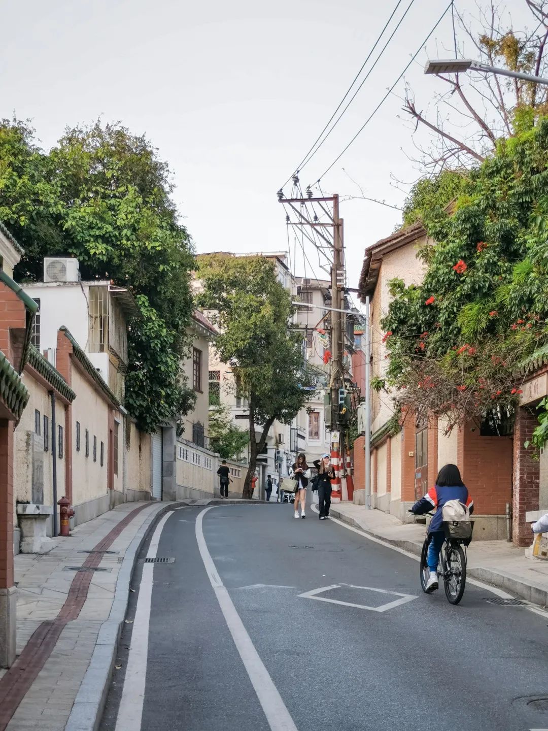 广州这条路，治好了我的审美疲劳