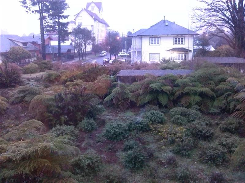 智利法罗群岛三文鱼,智利的三文鱼