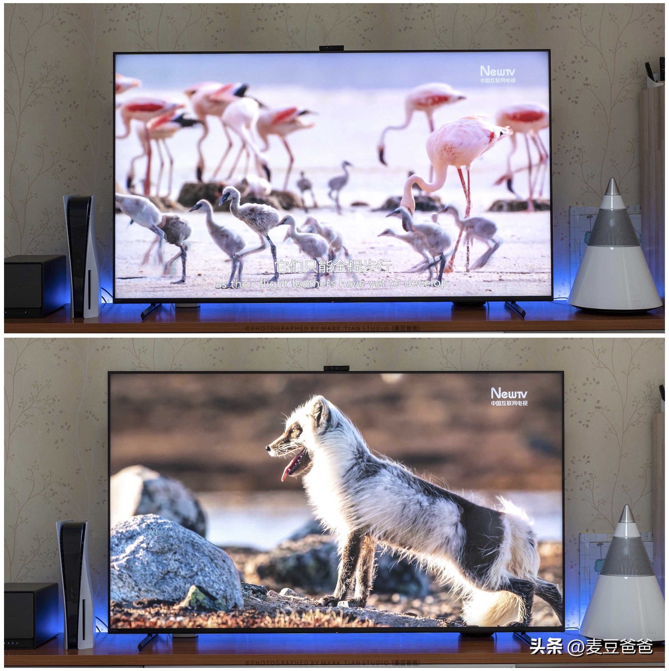 索尼和索尼4k电视有什么区别,索尼4k游戏电视x90l真香体验