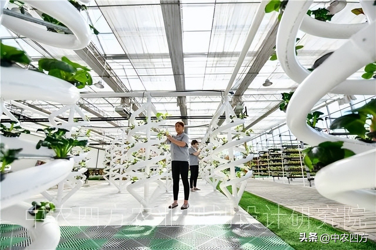 可持续农业新农业,智能农业推动农业可持续发展