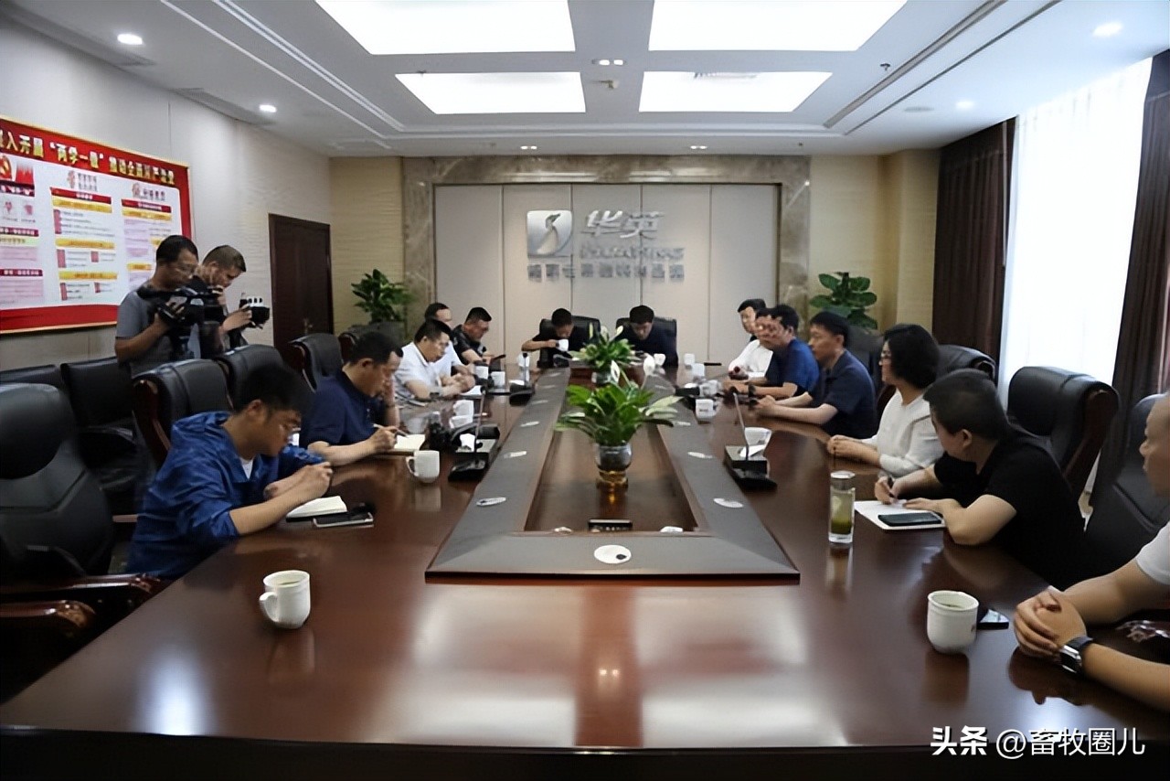 st华英今年能否摘帽,华英摘帽的可能性大吗