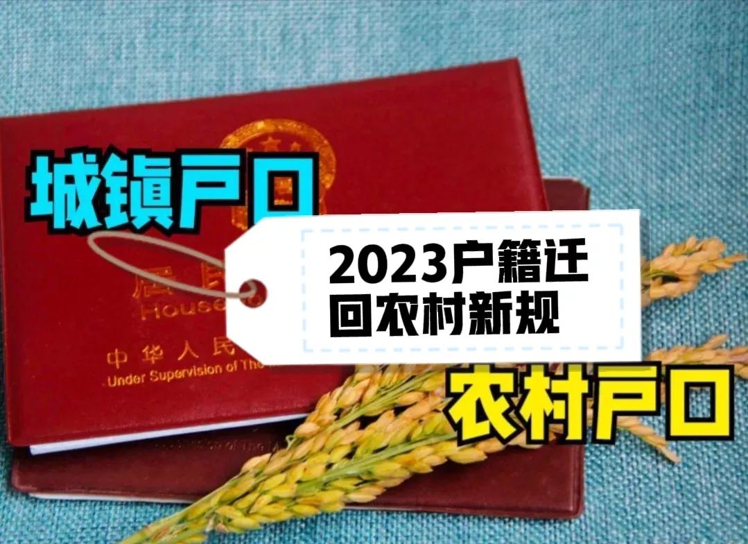 2023户籍新规“城转乡”，这些情况可迁回，享受农村各种福利