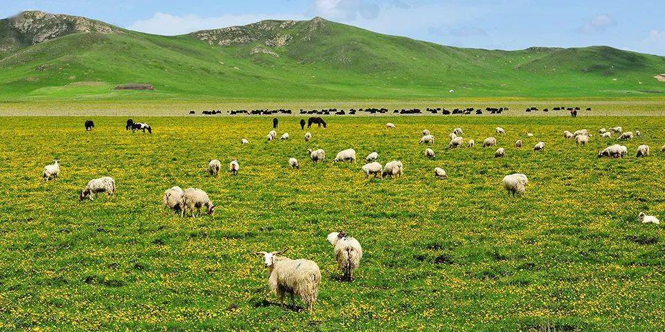 美丽四川之旅,美丽藏区行首站走进四川省甘孜州