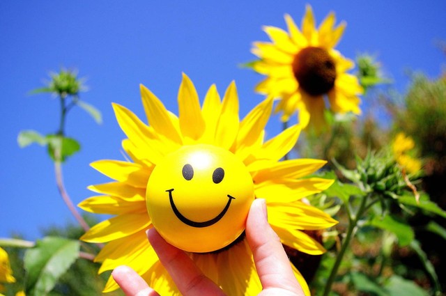 为什么动画渲染这么慢,生长动画渲染太慢怎么办