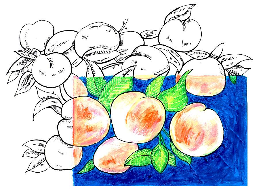 桃子精解说,桃子精万岁