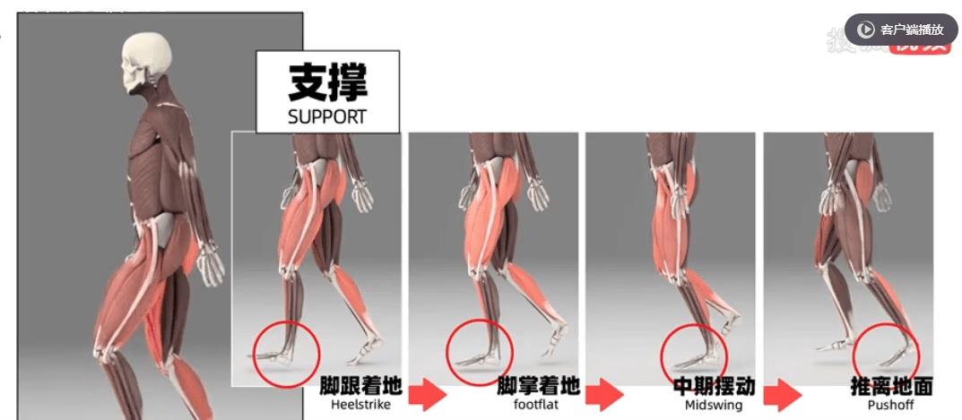 鞋带紧法教程,鞋带松怎么系紧