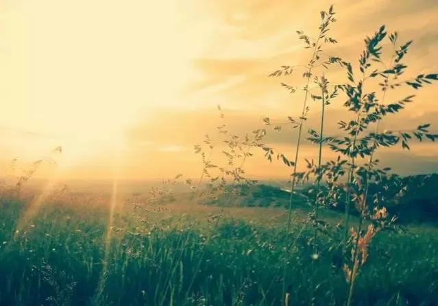 恋爱中女生如何提供情绪价值,恋爱中如何聊天调动女生的情绪