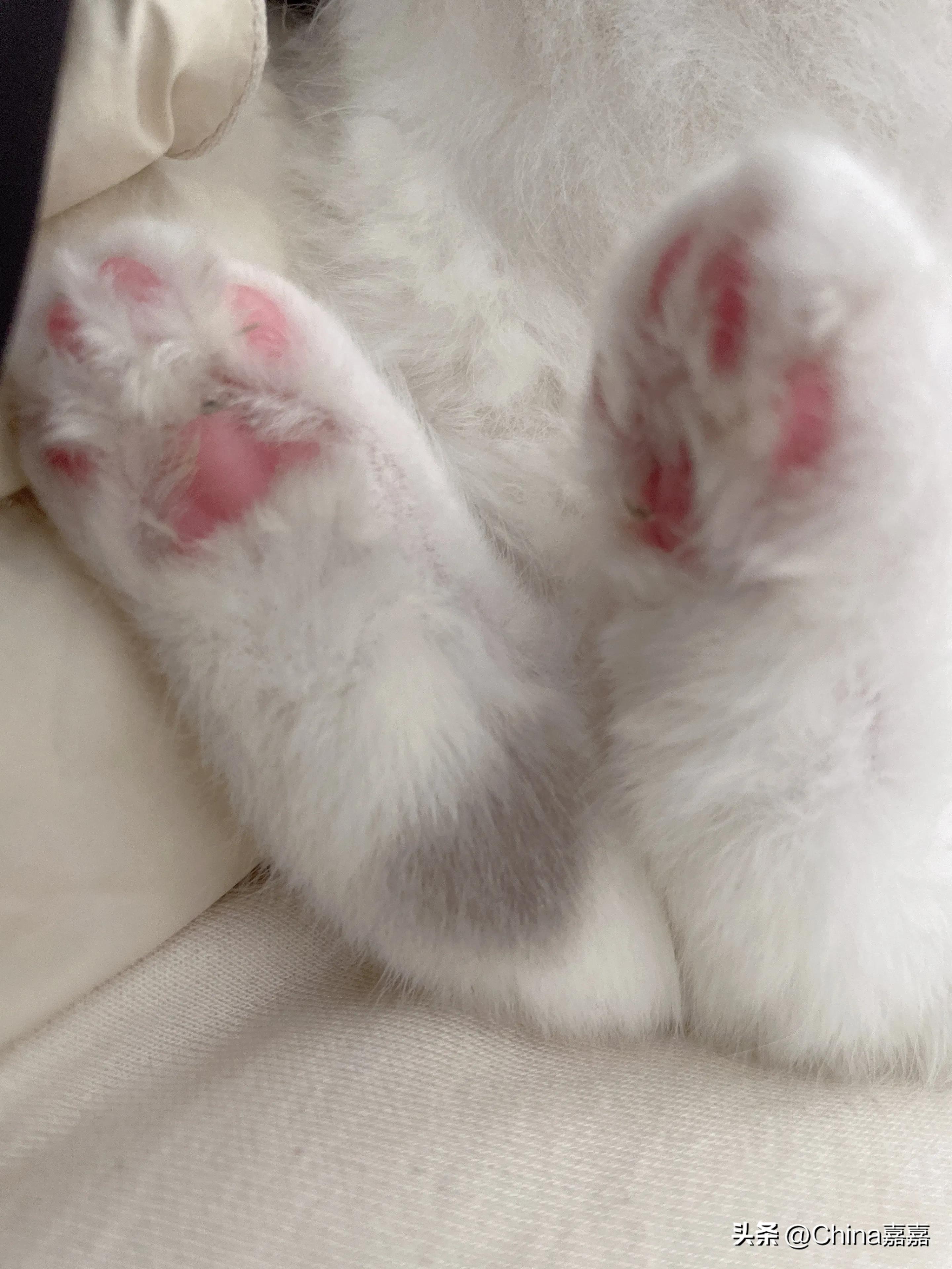 这个才能治愈你的不开心