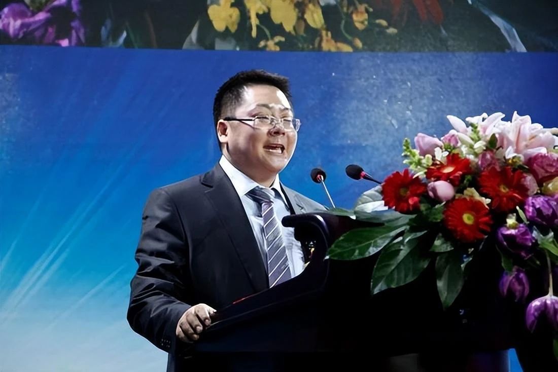 丁宁是如何一步一步发展起缅北的,e租宝丁宁是在缅北抓的吗