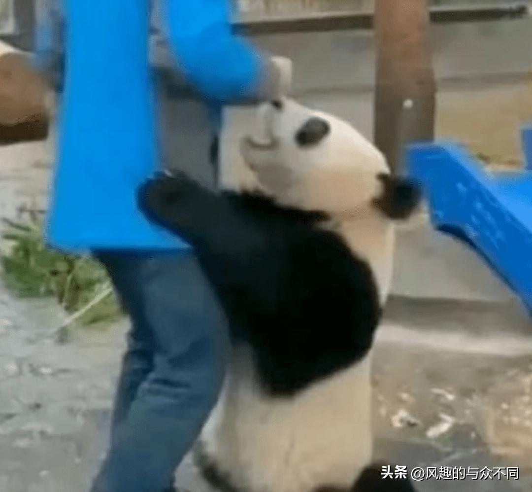 “被家长强迫给室友带纪念品”，破坏了多少宿舍关系