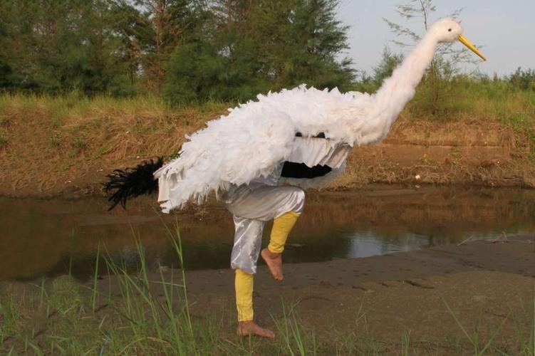 珠海非遗三灶鹤舞,三灶鹤舞是非物质文化遗产吗