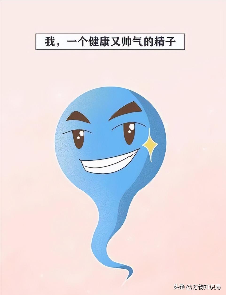 进入女性体内后，没“受精”成功的精子都去哪儿了？既好笑又心疼