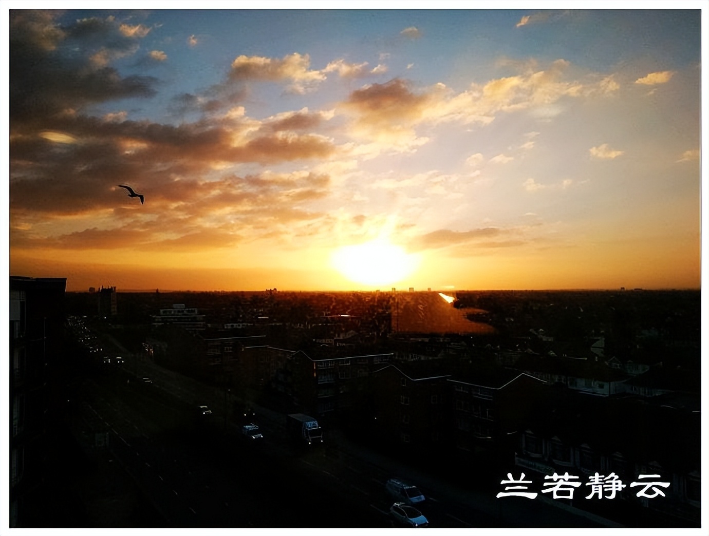 英国美女马术骑手,英国女王出行皇家马队