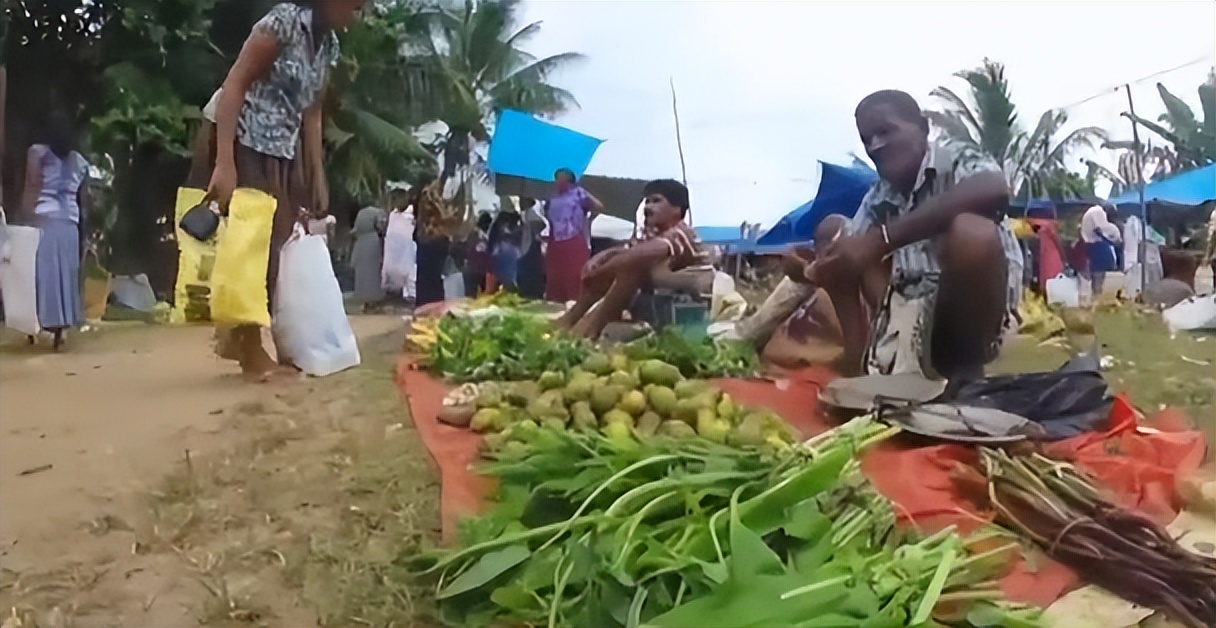 什么原因导致斯里兰卡国家破产,斯里兰卡国家为什么破产