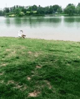 性取向测试,性取向测试怎么看结果