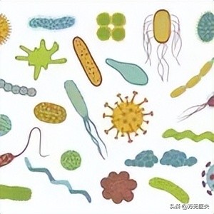 常吃冷饭降血脂吗,经常吃冷饭对人体有害吗