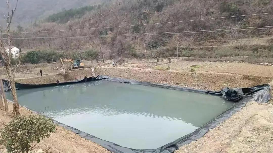 农村整治五类人将面临清查,乡镇能出台经营禁止令吗