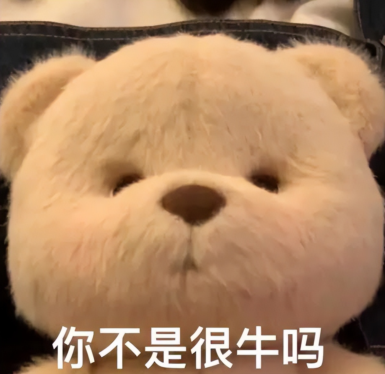 没有钱想创业怎么办,没有钱可以去创业吗