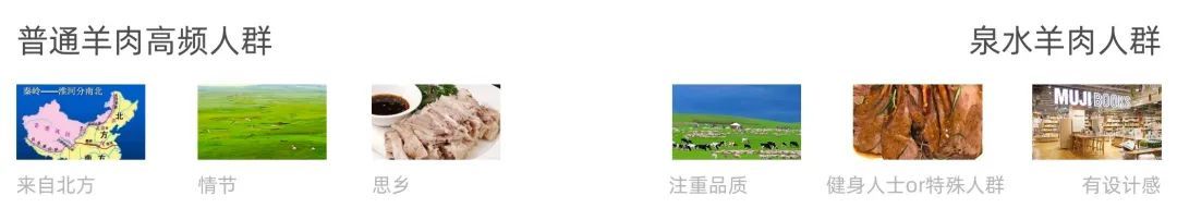 草原领头羊和五原领头羊区别,草原领头羊2023年销售收入