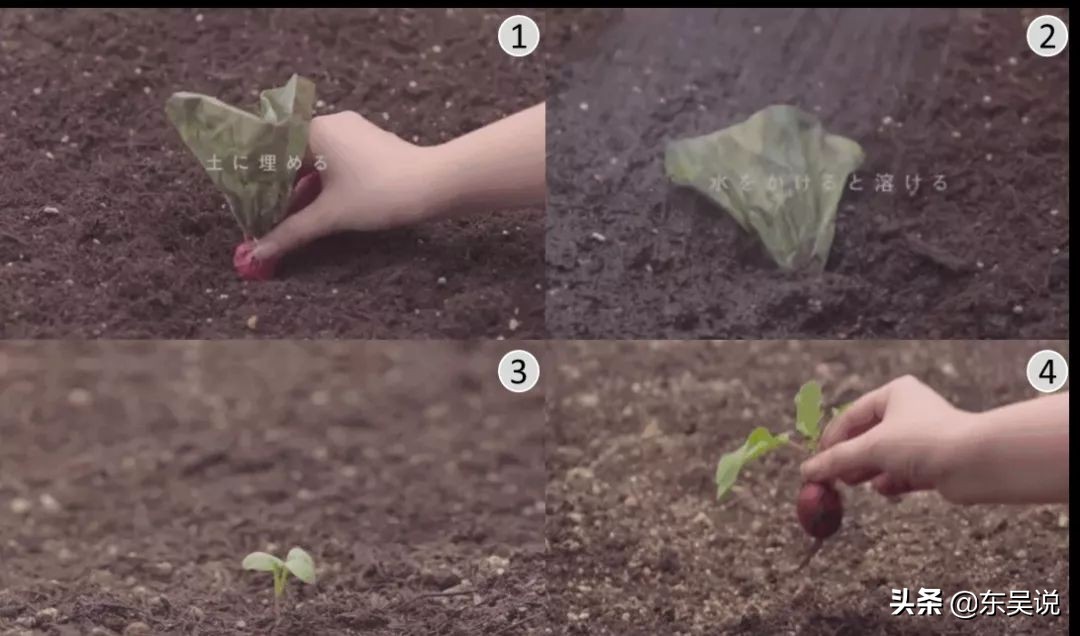 myfarm创新共享农业新模式,日本myfarm共享农场营销模式