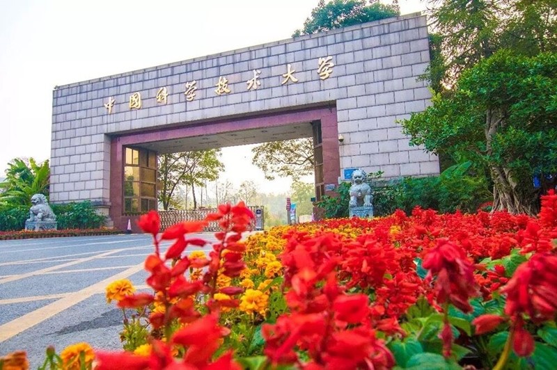 临床医学博士授权点学校,临床医学专业学位博士