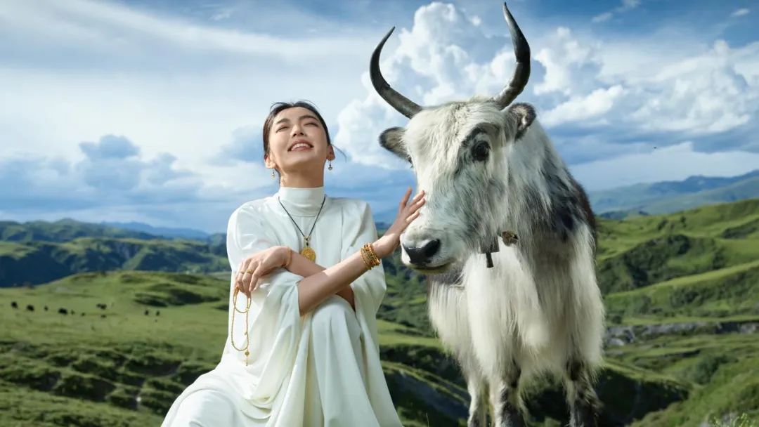 怎么才能联系上周大福黄绍基,黄绍基周大福