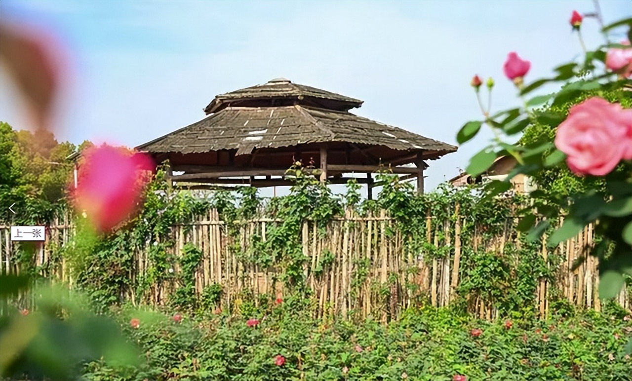 四川内江到云南旅游自驾游路线,重庆四川南充旅游线路攻略