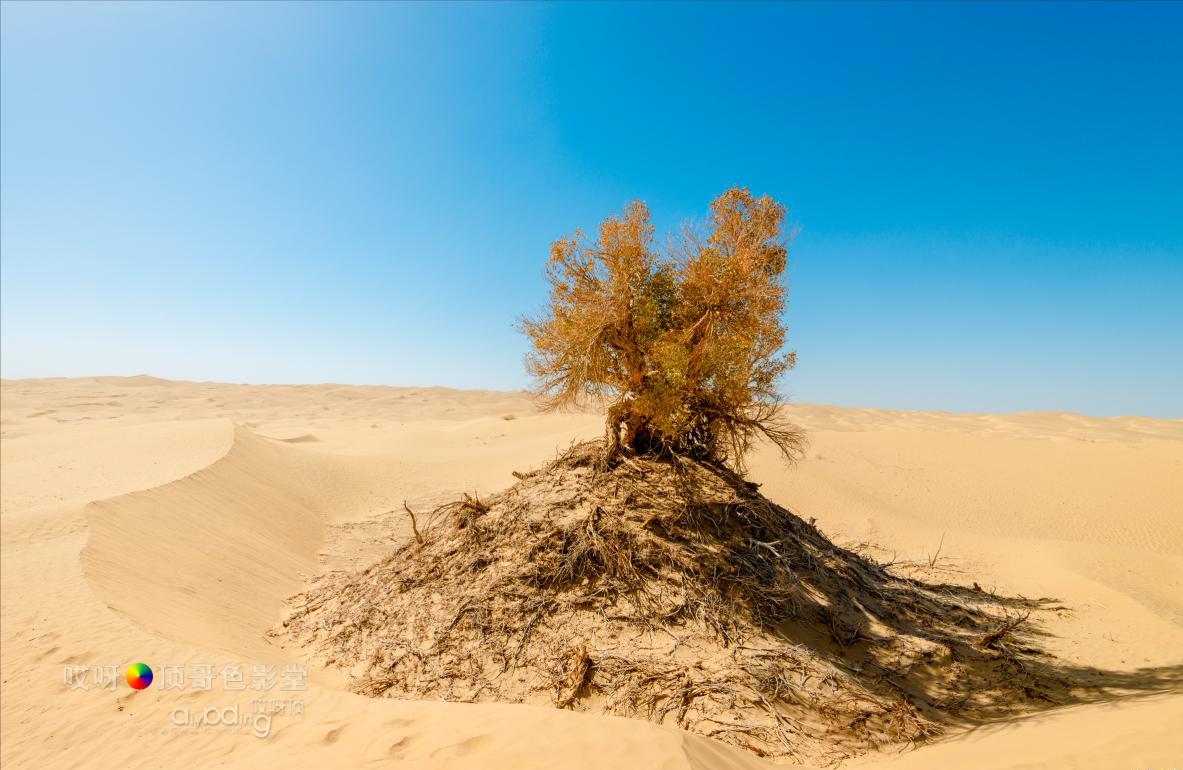 女司机带娃去新疆自驾游,带着女司机自驾游兰州