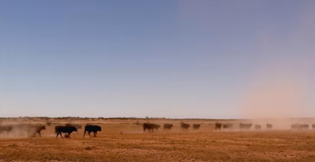 为什么澳大利亚那么多空地,澳大利亚的国土巨大吗