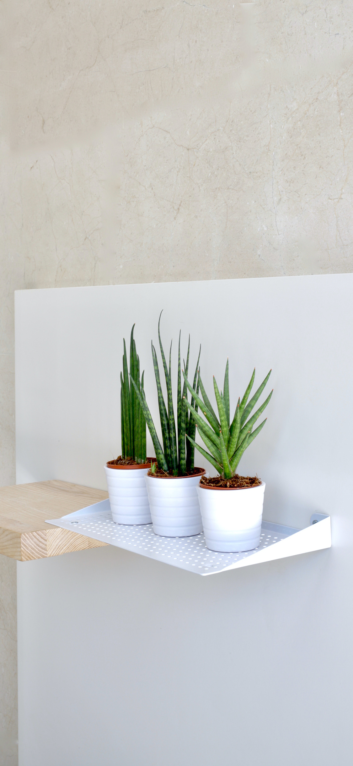 2023年手机壁纸,2023年最新款超清手机壁纸