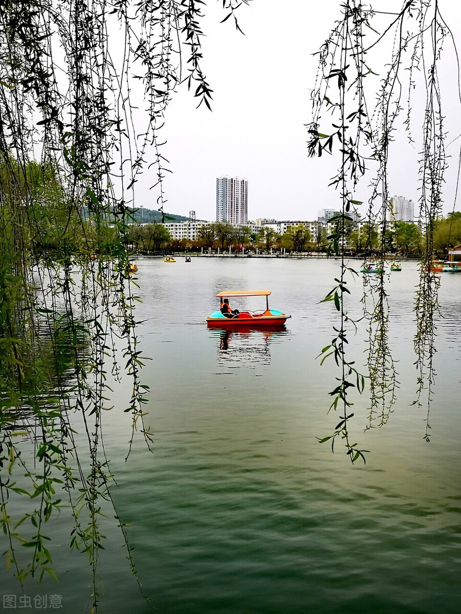 风吹杨柳万千条选段,风吹杨柳万千条指什么生肖
