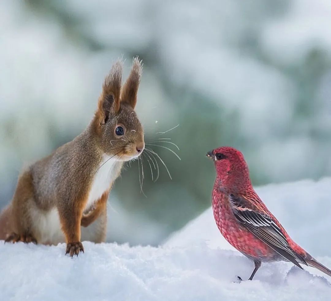 学习优秀摄影作品,摄影教学作品欣赏
