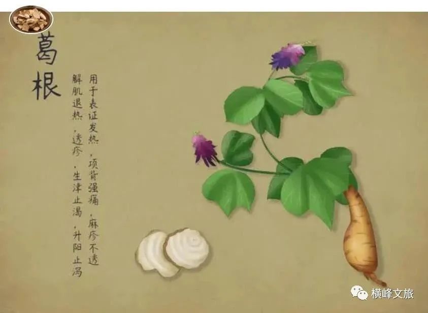 【上饶文旅周报202322】初夏“莓”好时光!黄晓明、王宝强等明星组团奔赴上饶!