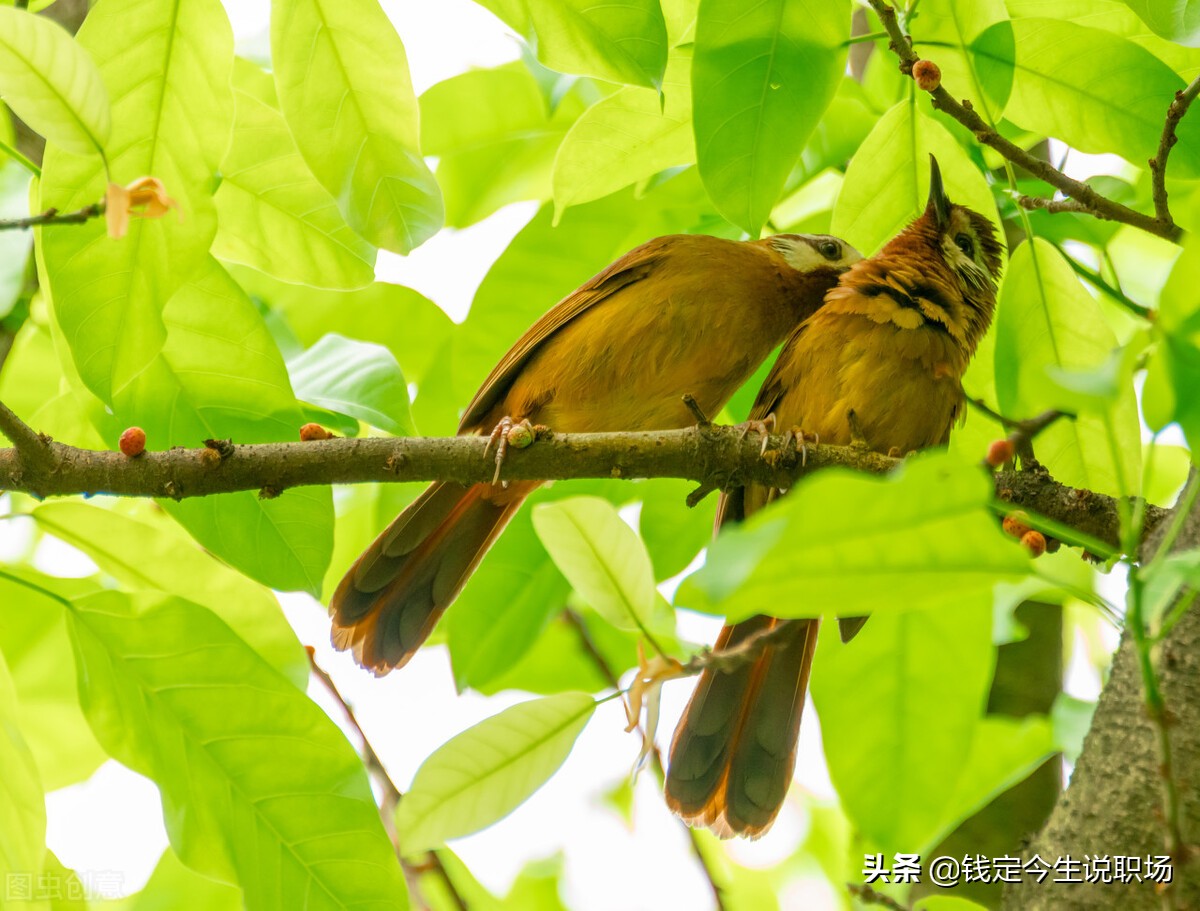 人生最好投资就是生小孩,人生赚钱副业