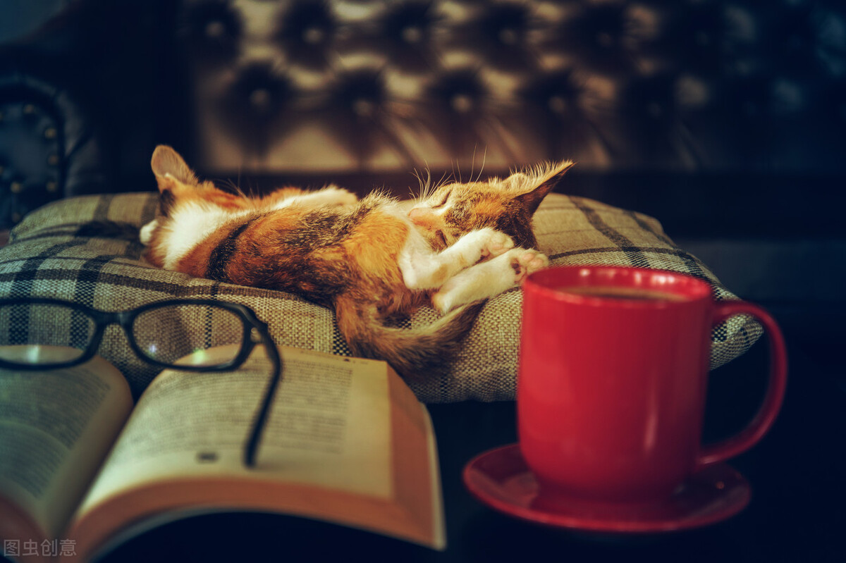 狗少量喝咖啡行吗,为什么狗子不能吃米饭