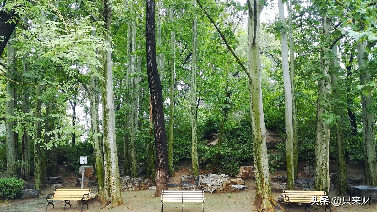 中国最难考的20所大学,中国985最好的20所大学名单排名